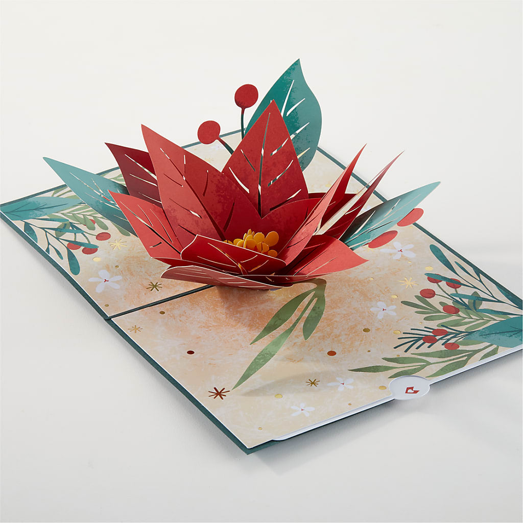 Happiest Holidays Poinsettia and Lovepop Card – CASSIDY'S FLOWERS, Newmarket ON