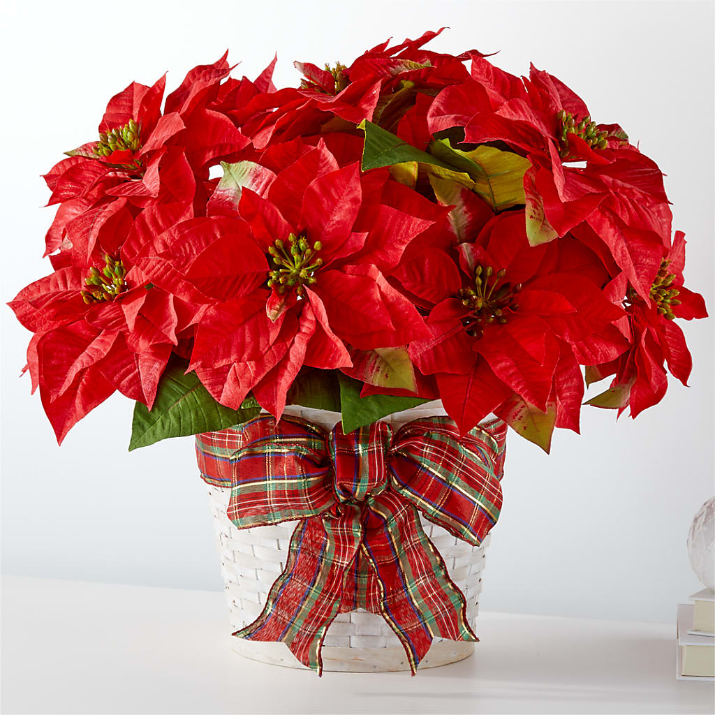 Happiest Holidays Poinsettia – CASSIDY'S FLOWERS, Newmarket ON