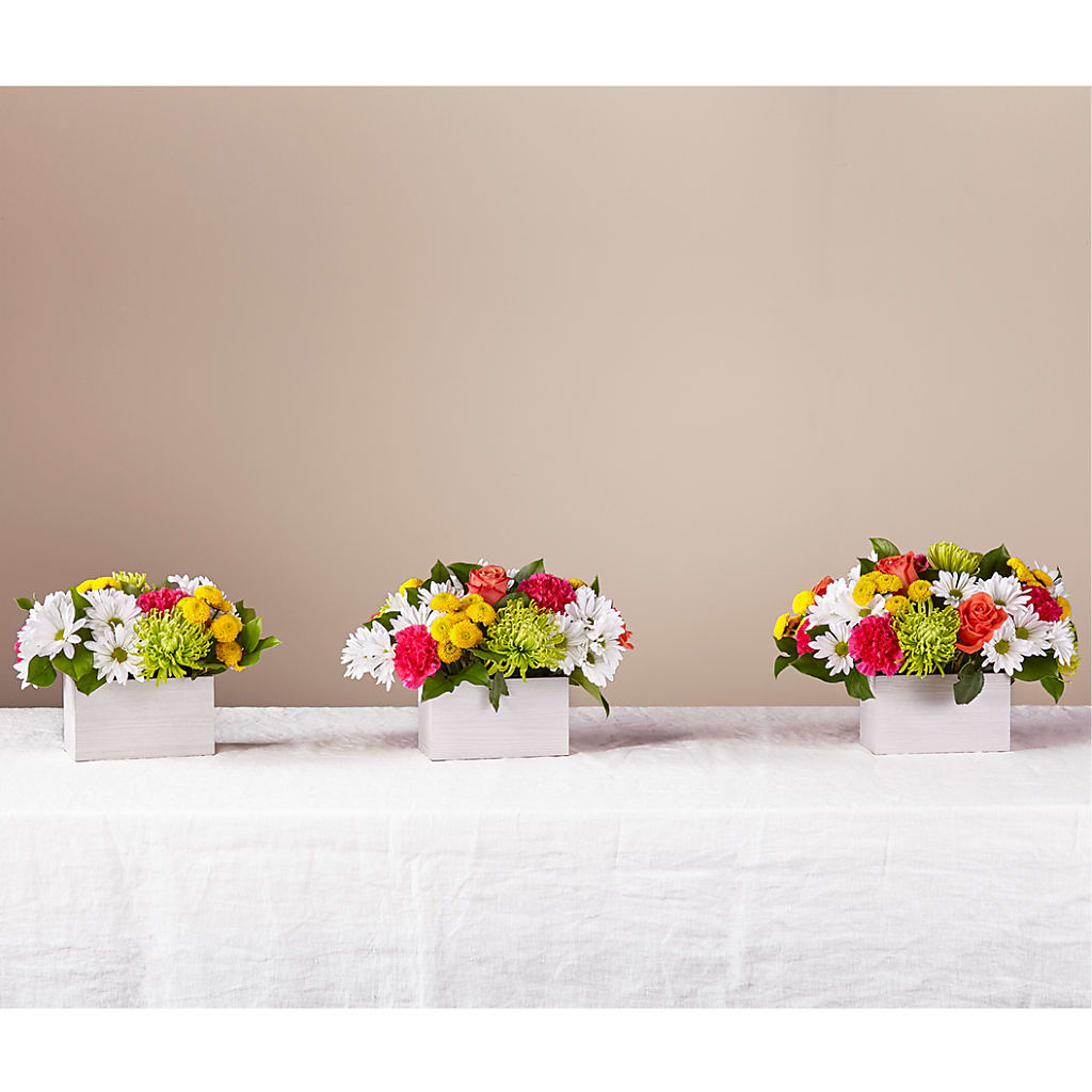 Sorbet Bouquet – CASSIDY'S FLOWERS, Newmarket ON