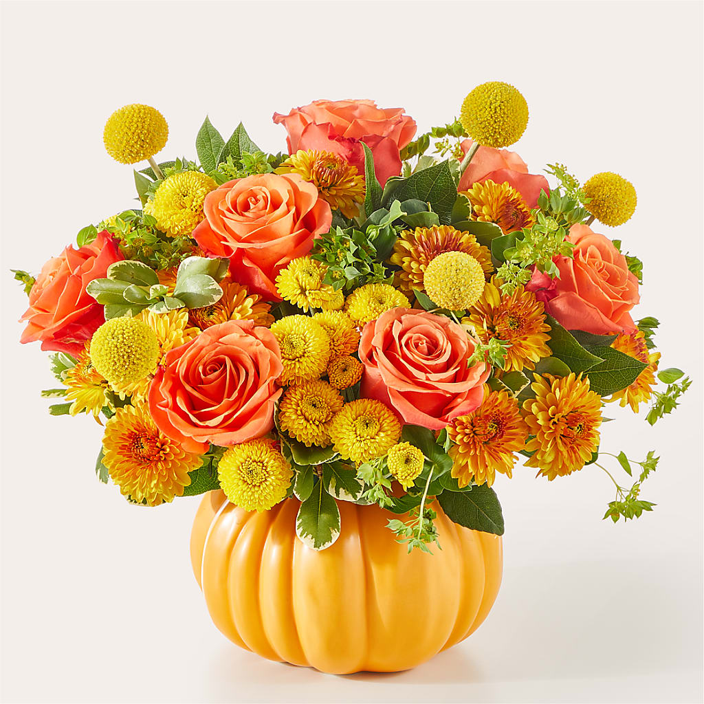 Gourdgeous Pumpkin – CASSIDY'S FLOWERS, Newmarket ON