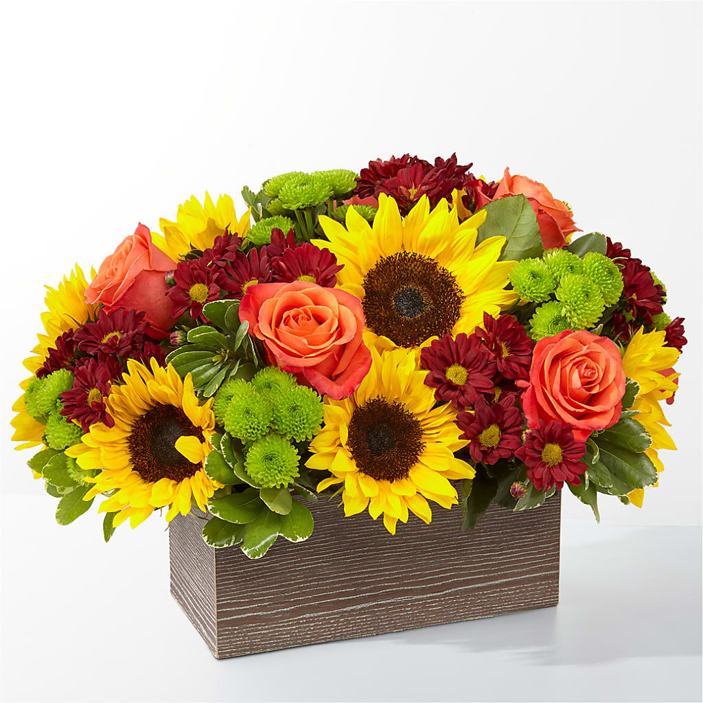 Happy Harvest Garden – CASSIDY'S FLOWERS, Newmarket ON