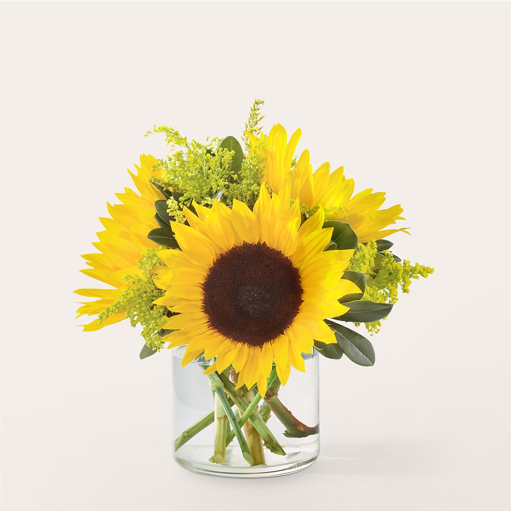 Beaming Sunflower Bouquet – CASSIDY'S FLOWERS, Newmarket ON