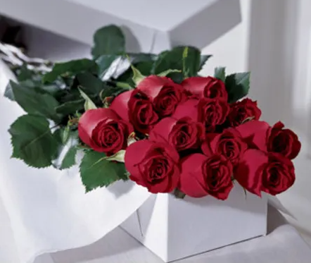 PREMIUM LONG STEM ROSES – CASSIDY'S FLOWERS, Newmarket ON