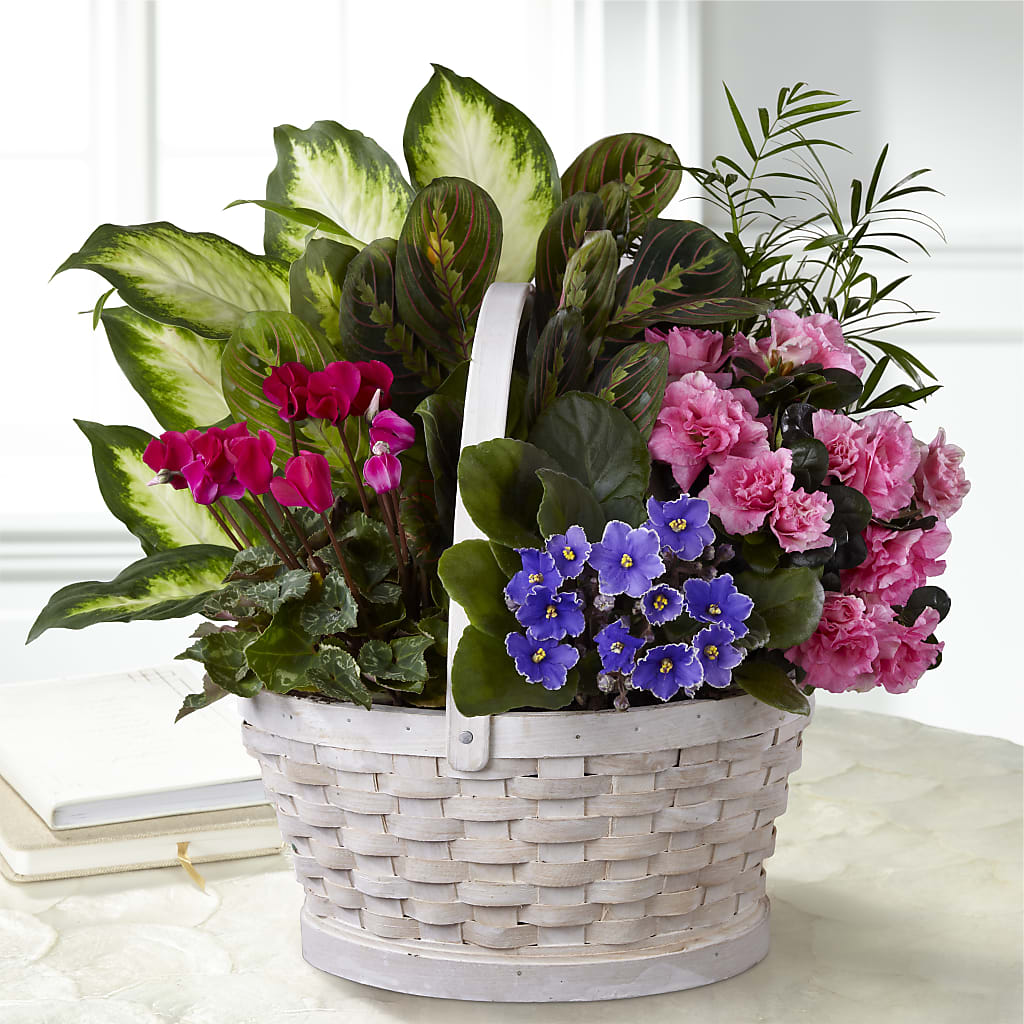 Peaceful Garden Planter – CASSIDY'S FLOWERS, Newmarket ON