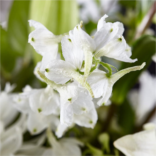 Classic Ivory – A Florist Original – CASSIDY'S FLOWERS, Newmarket ON