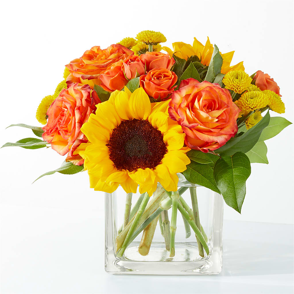 Picnic in the Park Bouquet – CASSIDY'S FLOWERS, Newmarket ON