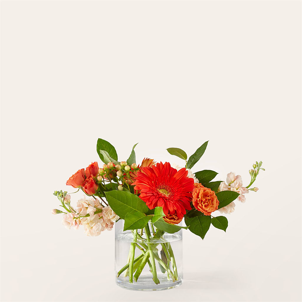Paloma Please Bouquet – CASSIDY'S FLOWERS, Newmarket ON
