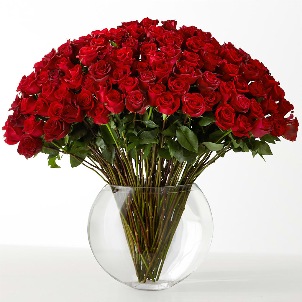 The Idealist – CASSIDY'S FLOWERS, Newmarket ON