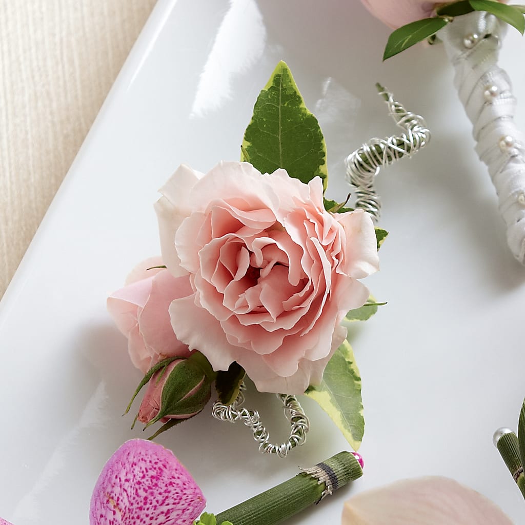 Pink Spray Rose Boutonniere – CASSIDY'S FLOWERS, Newmarket ON