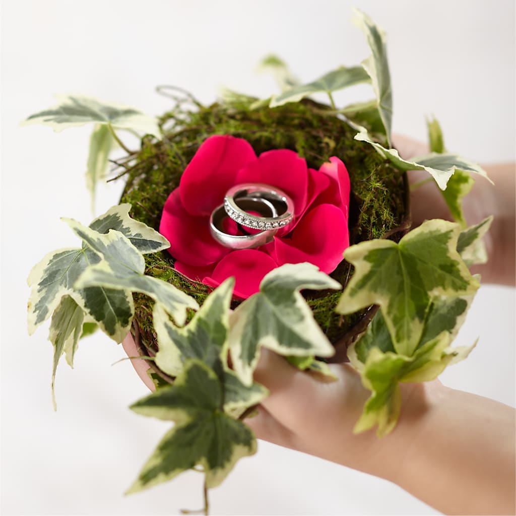 Lila Rose Ring Nest – CASSIDY'S FLOWERS, Newmarket ON