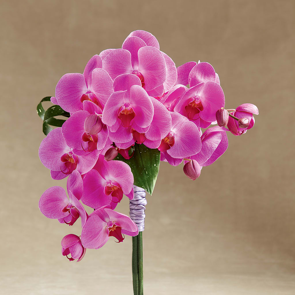 Glorious Bouquet – CASSIDY'S FLOWERS, Newmarket ON