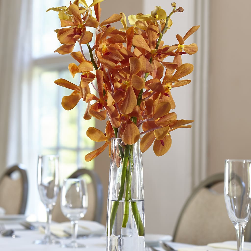 Orange Mokara Bud Vase – CASSIDY'S FLOWERS, Newmarket ON