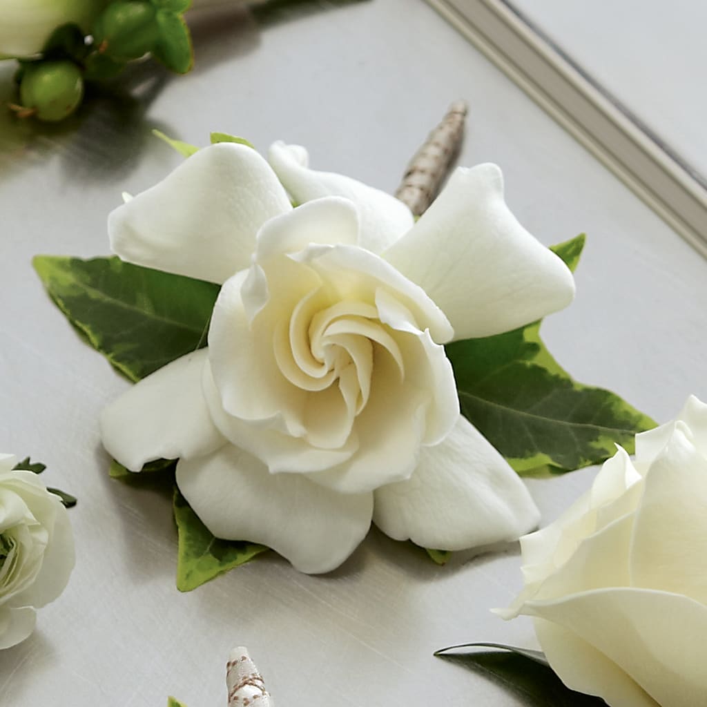 Gardenia Boutonniere – CASSIDY'S FLOWERS, Newmarket ON