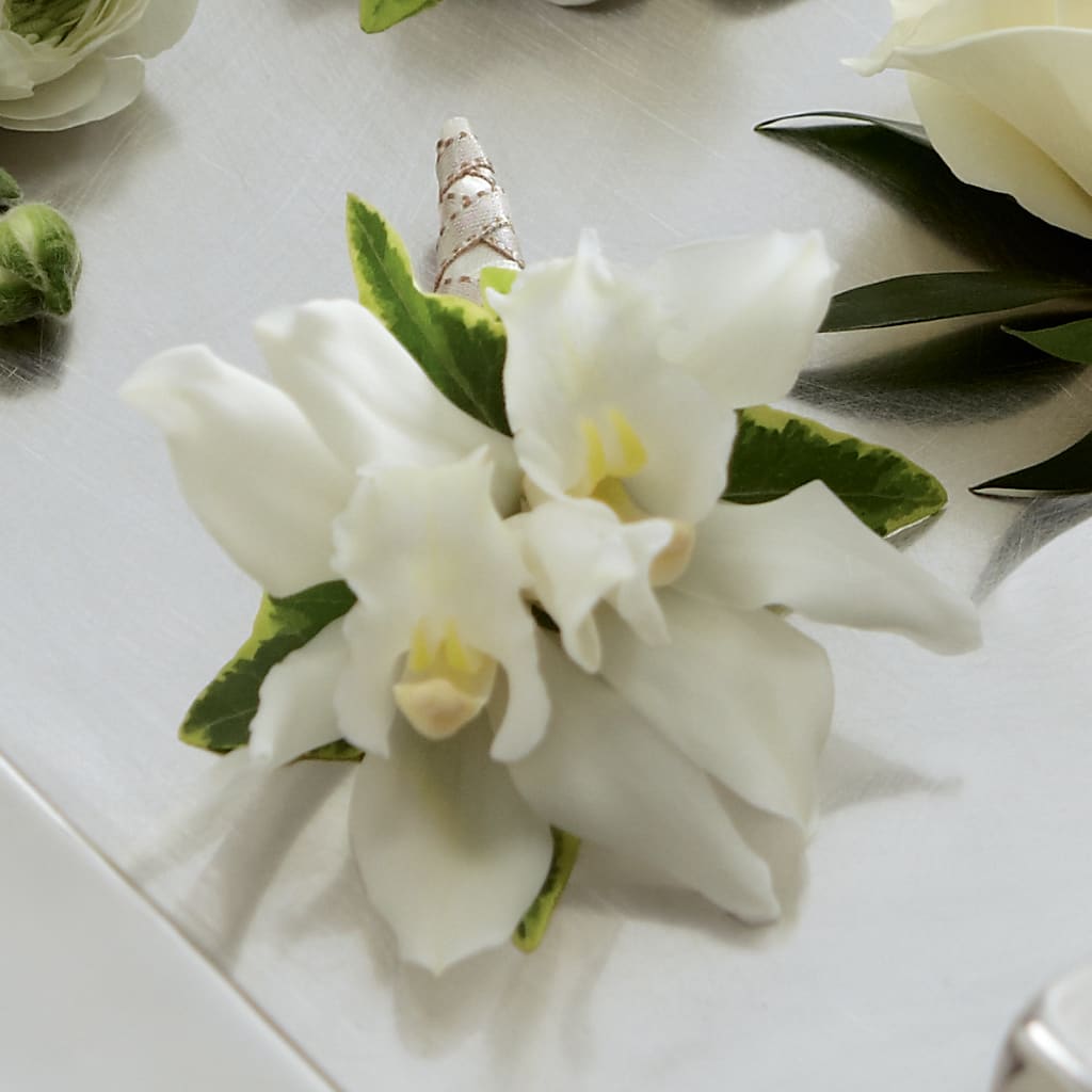 White Mini Cymbidium Boutonniere – CASSIDY'S FLOWERS, Newmarket ON
