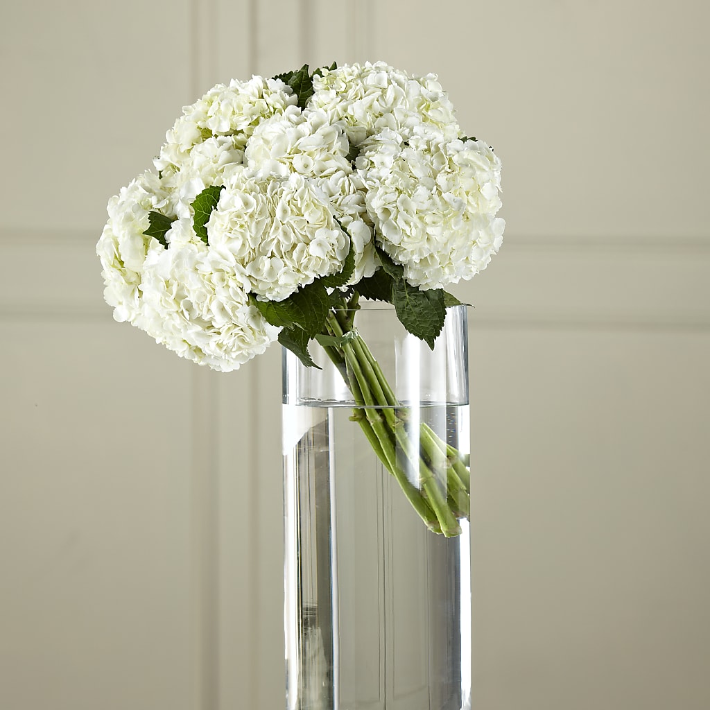 White Hydrangea Hand-Tied Bouquet – CASSIDY'S FLOWERS, Newmarket ON