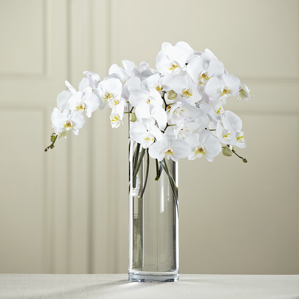 White Phalaenopsis Bouquet – CASSIDY'S FLOWERS, Newmarket ON