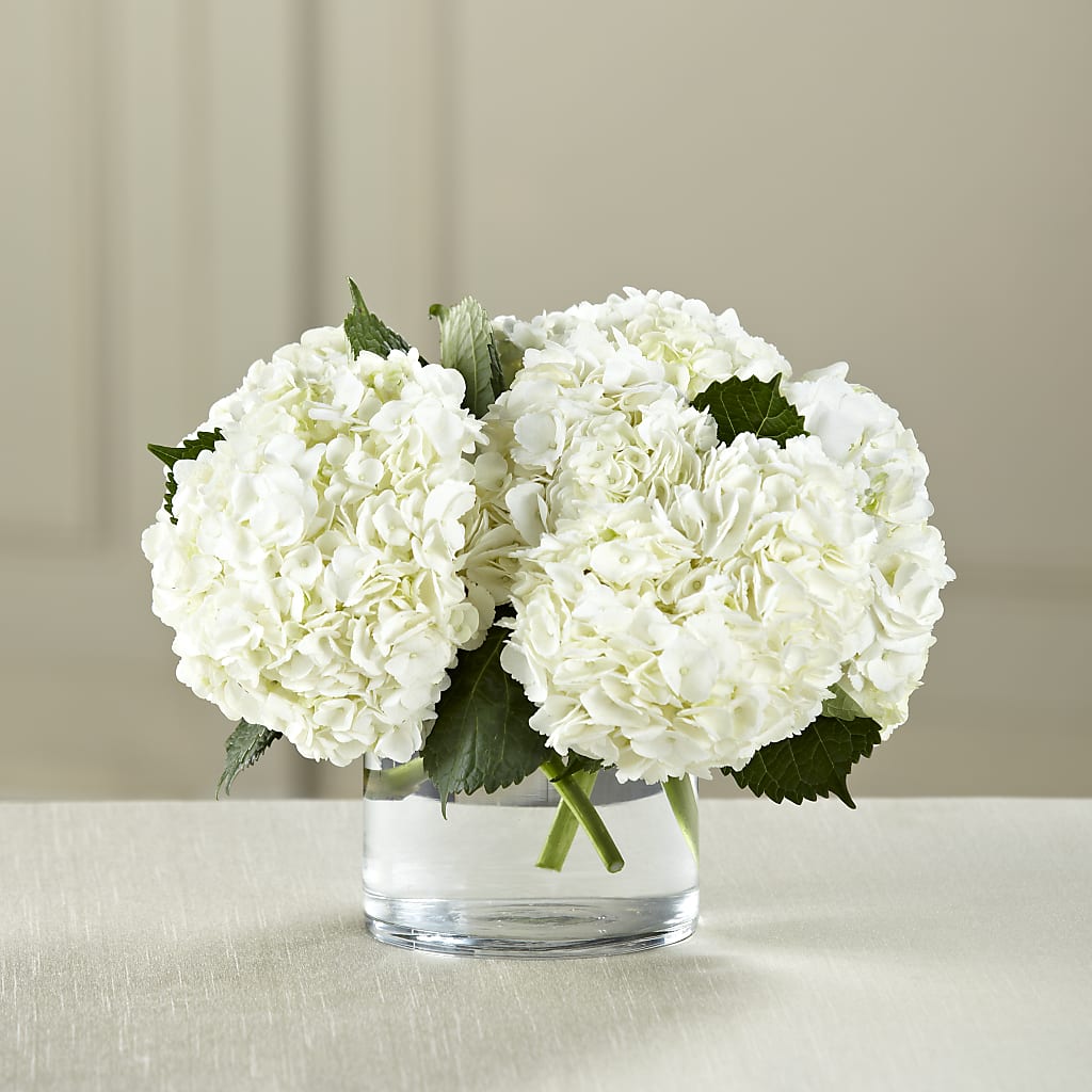 White Hydrangea Bouquet – CASSIDY'S FLOWERS, Newmarket ON