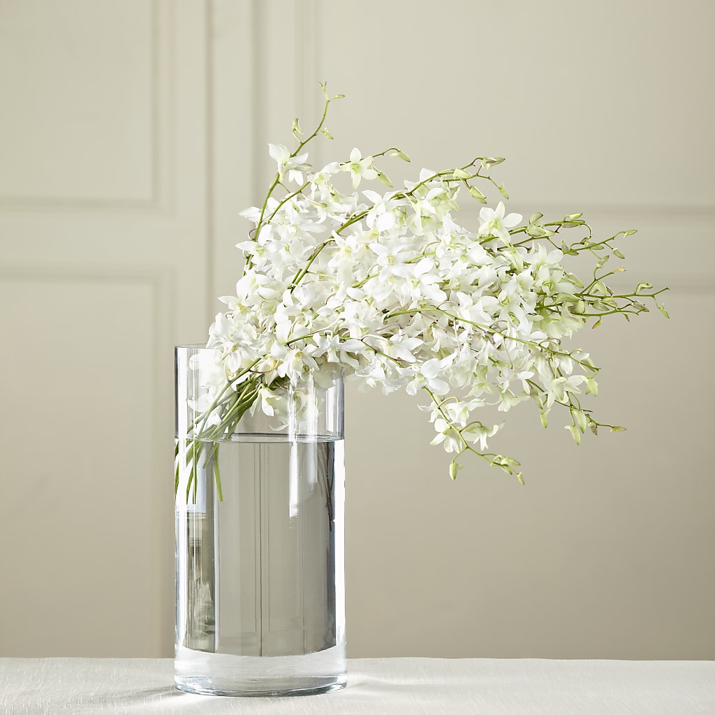 White Dendrobium Bouquet – CASSIDY'S FLOWERS, Newmarket ON