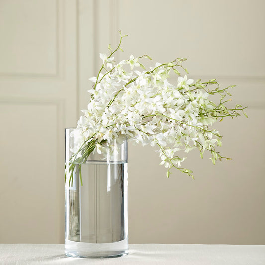 Ramo de Dendrobium blanco
