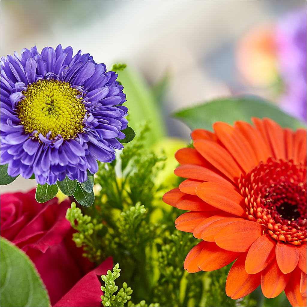 Bold & Bright – A Florist Original – CASSIDY'S FLOWERS, Newmarket ON