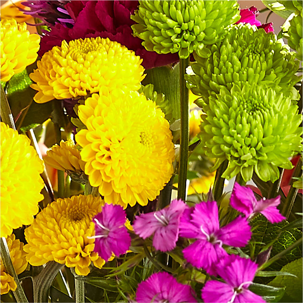 Bold & Bright – A Florist Original – CASSIDY'S FLOWERS, Newmarket ON