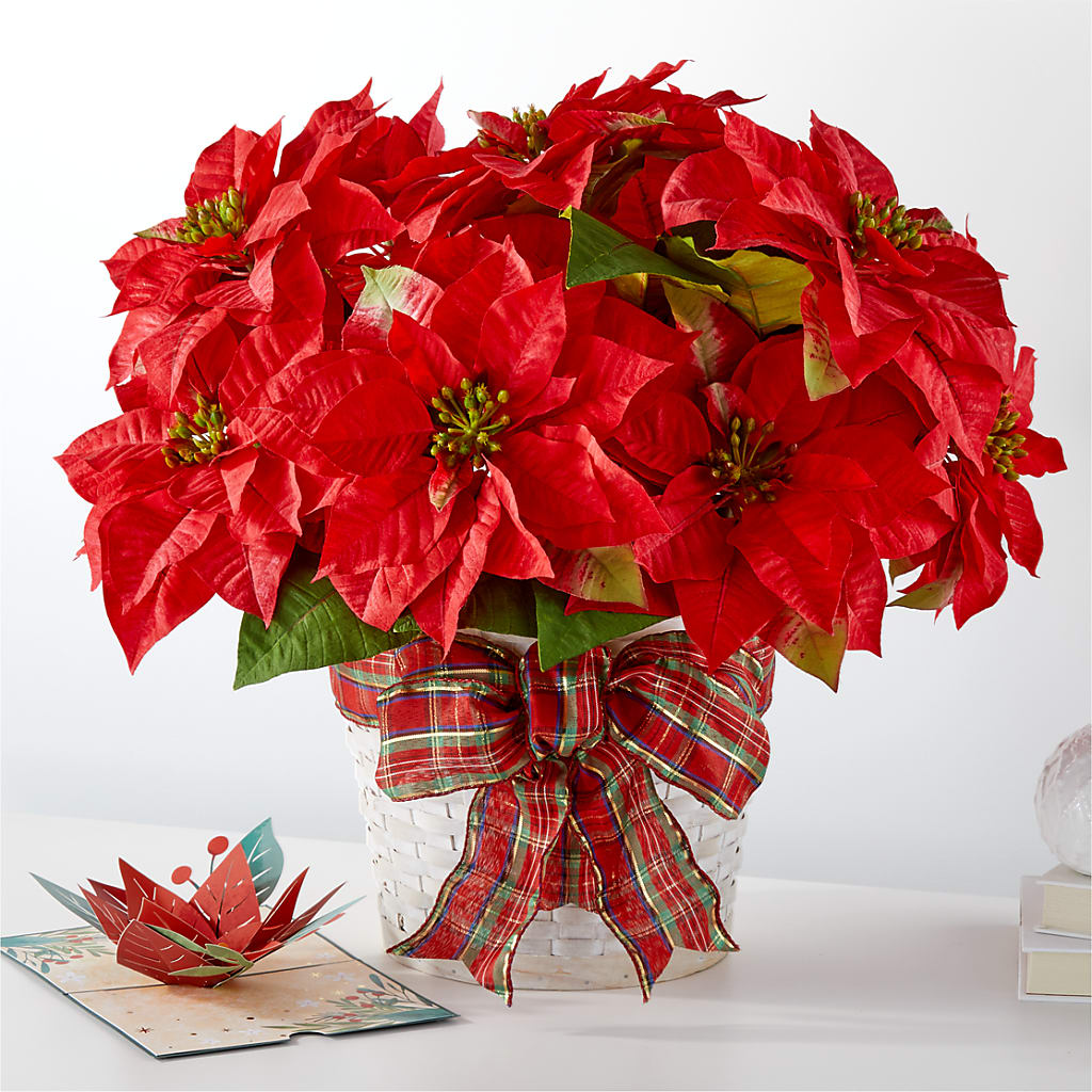 Tarjeta de Poinsettia y Lovepop para las más felices fiestas