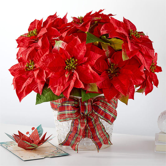 Tarjeta de Poinsettia y Lovepop para las más felices fiestas