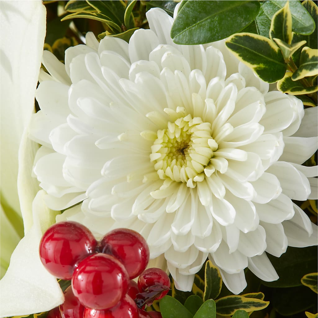 Festive Moments Tree – CASSIDY'S FLOWERS, Newmarket ON