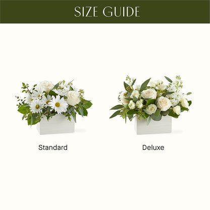 Fresh Linen Box Bouquet – CASSIDY'S FLOWERS, Newmarket ON