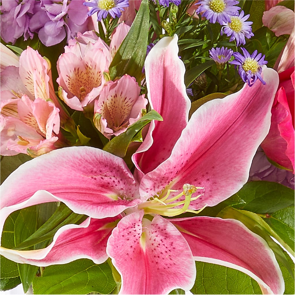 Written in the Stars Bouquet – CASSIDY'S FLOWERS, Newmarket ON