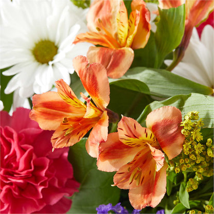 Oopsie Daisy Box Bouquet – CASSIDY'S FLOWERS, Newmarket ON