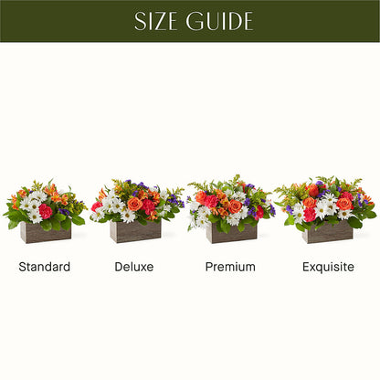 Oopsie Daisy Box Bouquet – CASSIDY'S FLOWERS, Newmarket ON