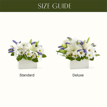 Beyond Blue Box Bouquet – CASSIDY'S FLOWERS, Newmarket ON
