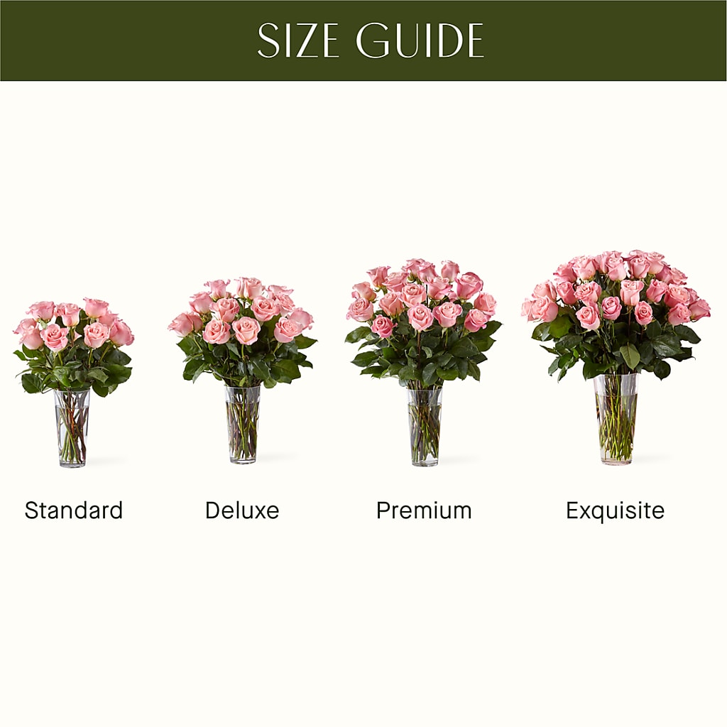 Long Stem Pink Rose Bouquet – CASSIDY'S FLOWERS, Newmarket ON