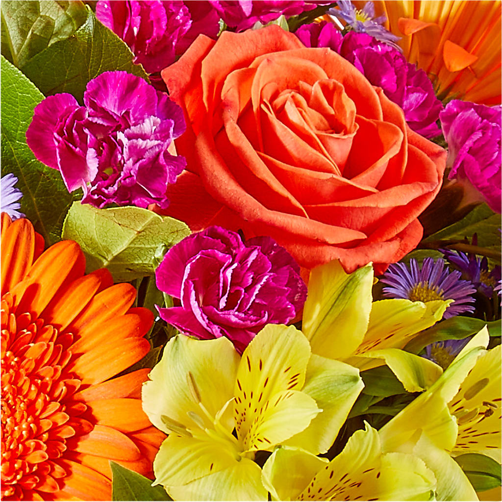 Tricks & Treats Pumpkin – CASSIDY'S FLOWERS, Newmarket ON