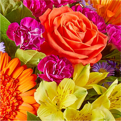 Tricks & Treats Pumpkin – CASSIDY'S FLOWERS, Newmarket ON