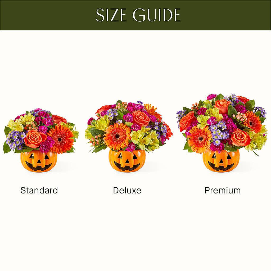 Tricks & Treats Pumpkin – CASSIDY'S FLOWERS, Newmarket ON