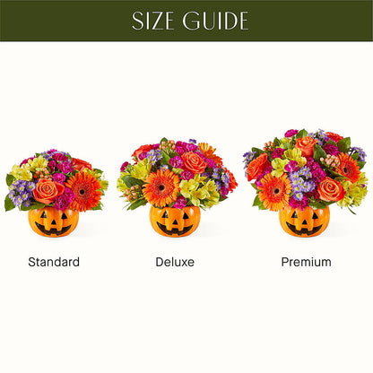 Tricks & Treats Pumpkin – CASSIDY'S FLOWERS, Newmarket ON