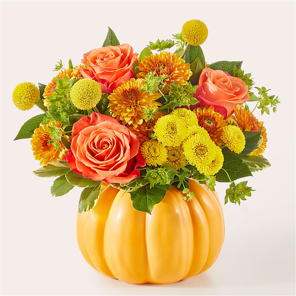 Gourdgeous Pumpkin – CASSIDY'S FLOWERS, Newmarket ON