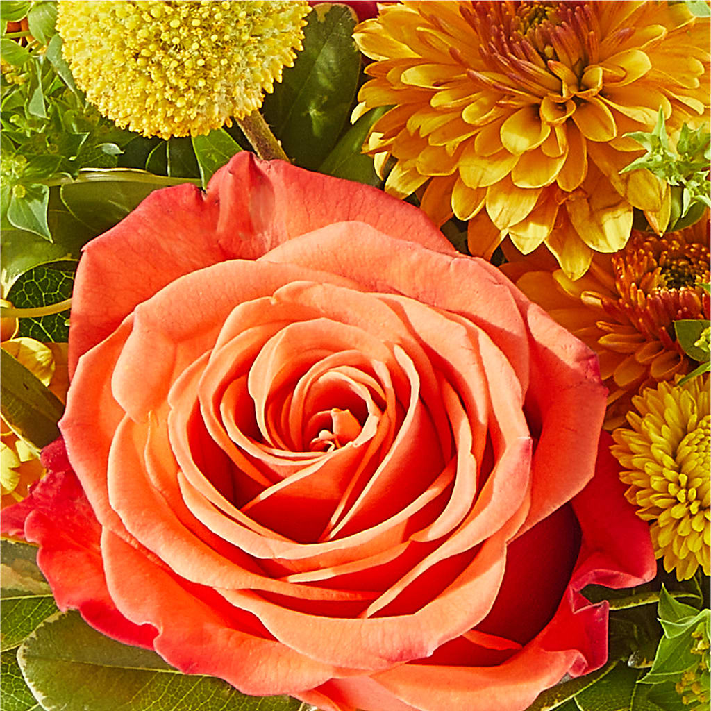 Gourdgeous Pumpkin – CASSIDY'S FLOWERS, Newmarket ON