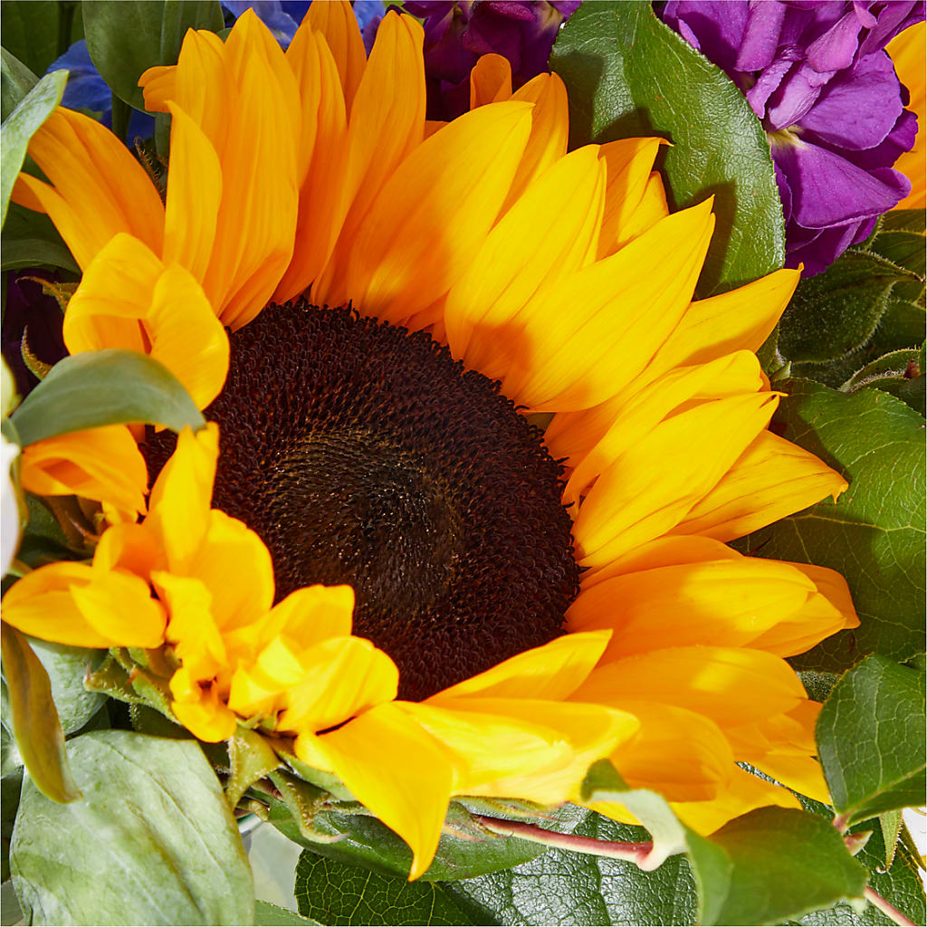 Catching Rays Bouquet – CASSIDY'S FLOWERS, Newmarket ON
