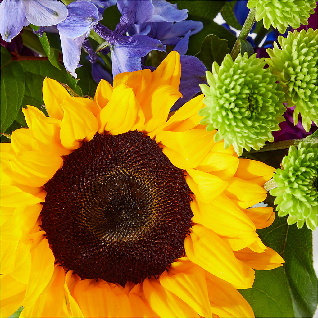 Catching Rays Bouquet – CASSIDY'S FLOWERS, Newmarket ON