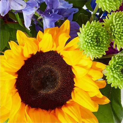 Catching Rays Bouquet – CASSIDY'S FLOWERS, Newmarket ON