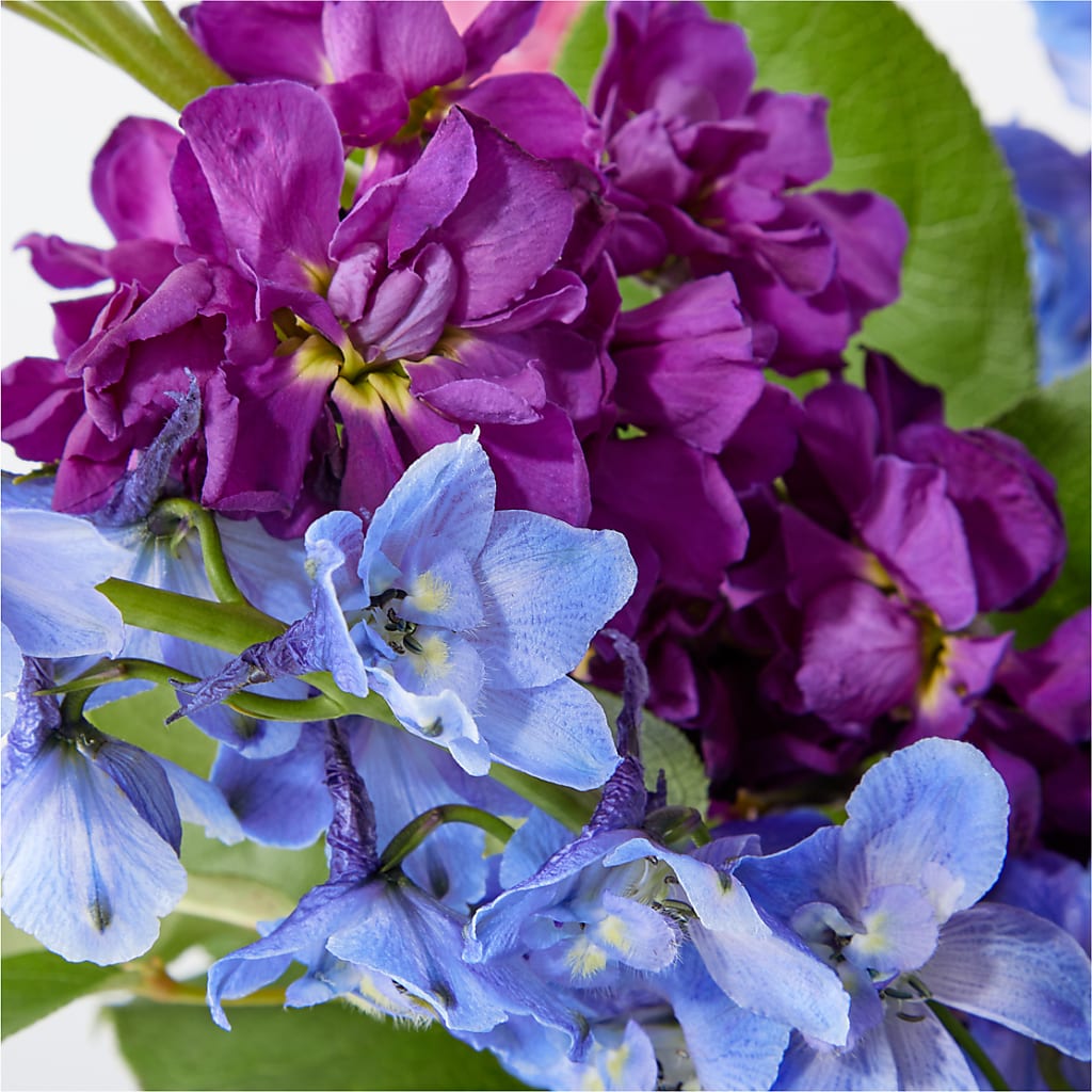 Twilight Glow Bouquet – CASSIDY'S FLOWERS, Newmarket ON