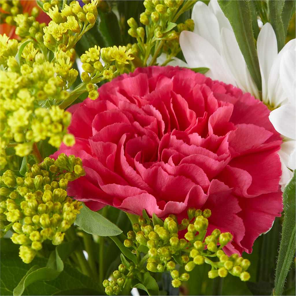 Oopsie Daisy Bouquet – CASSIDY'S FLOWERS, Newmarket ON