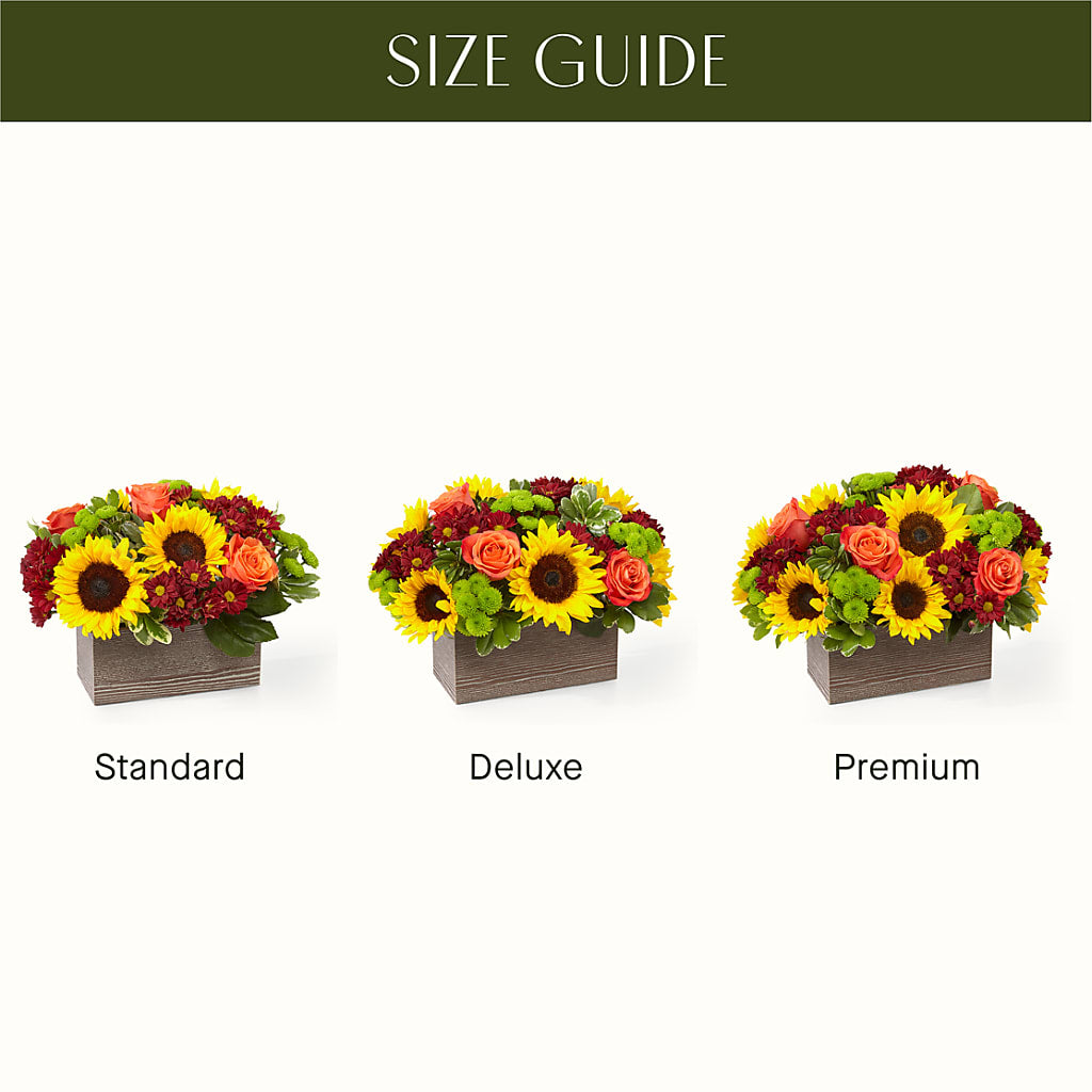 Happy Harvest Garden – CASSIDY'S FLOWERS, Newmarket ON