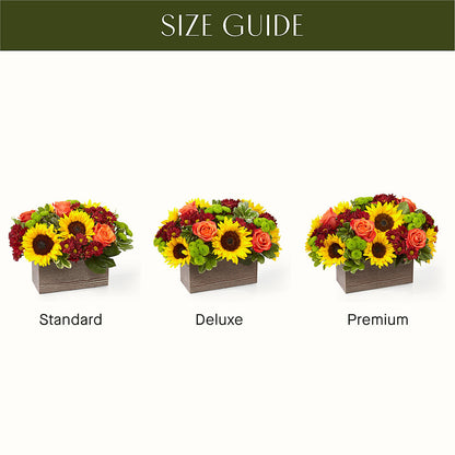 Happy Harvest Garden – CASSIDY'S FLOWERS, Newmarket ON