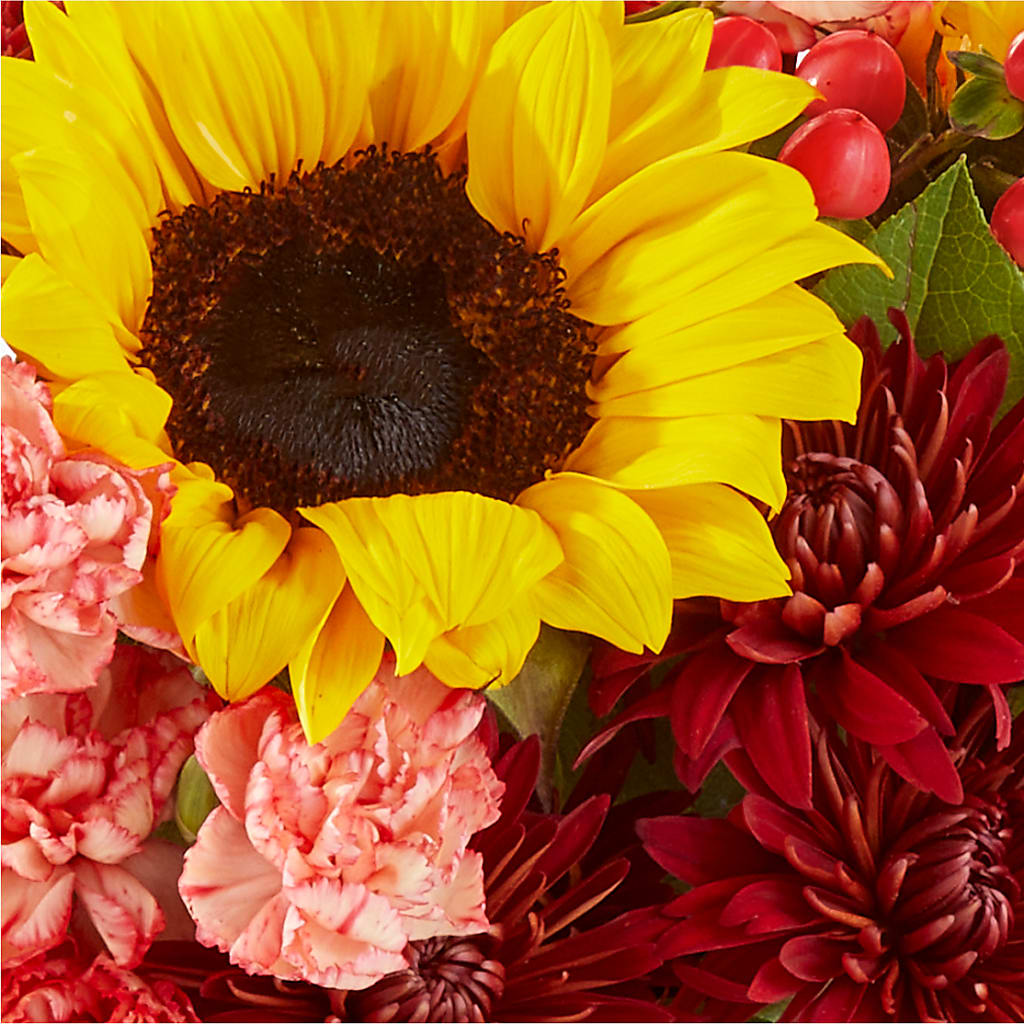 Fresh Cider Bouquet – CASSIDY'S FLOWERS, Newmarket ON