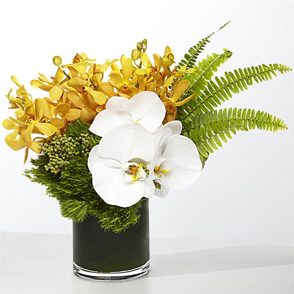 The Tropics – CASSIDY'S FLOWERS, Newmarket ON