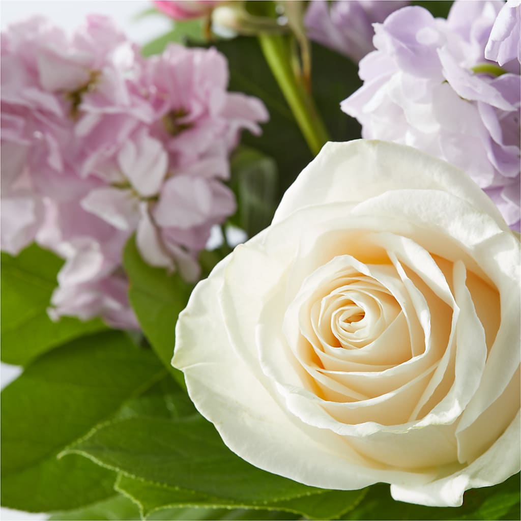 Springtime Spritz Bouquet – CASSIDY'S FLOWERS, Newmarket ON